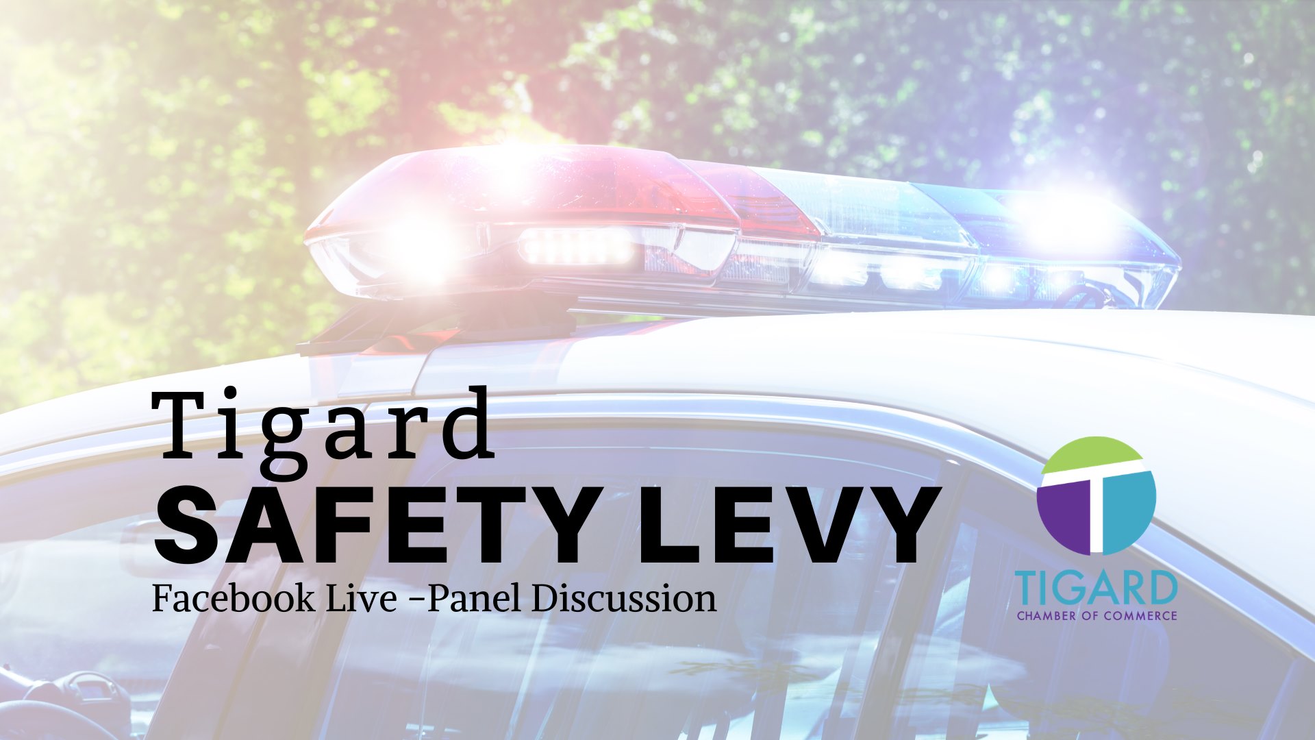 Tigard Safety Levy Panel