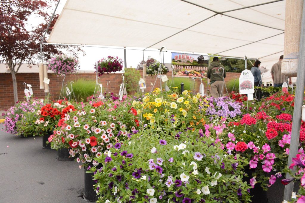 15776863 1246871922037071 3127412075885909691 o