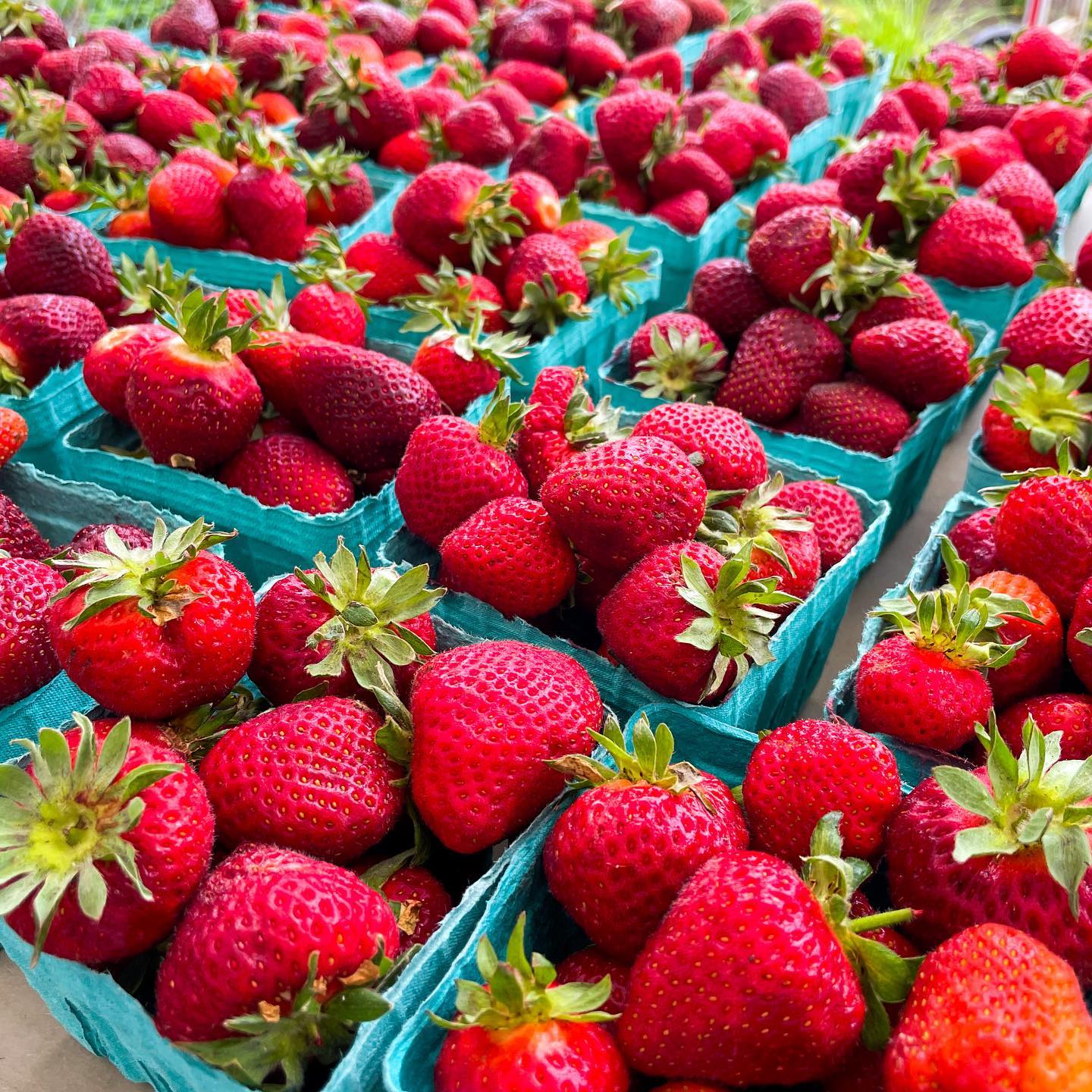 294933479 475582754570031 1372410291131986860 n