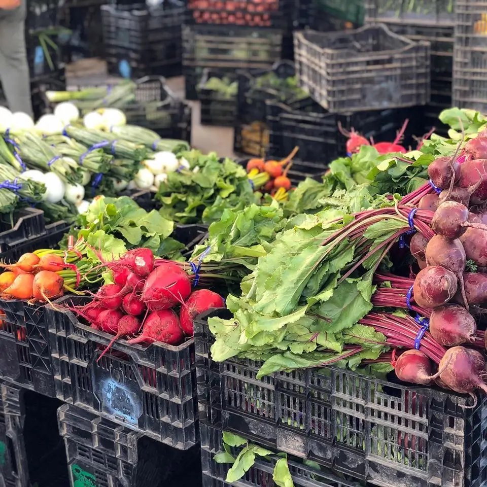 Farmers market 1 (1)