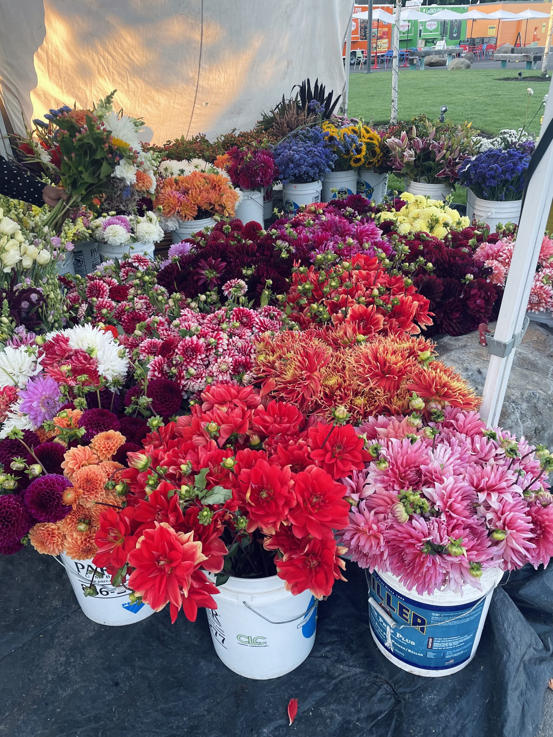 What’s Up, Tigard? – Community, Connection and Sunshine!